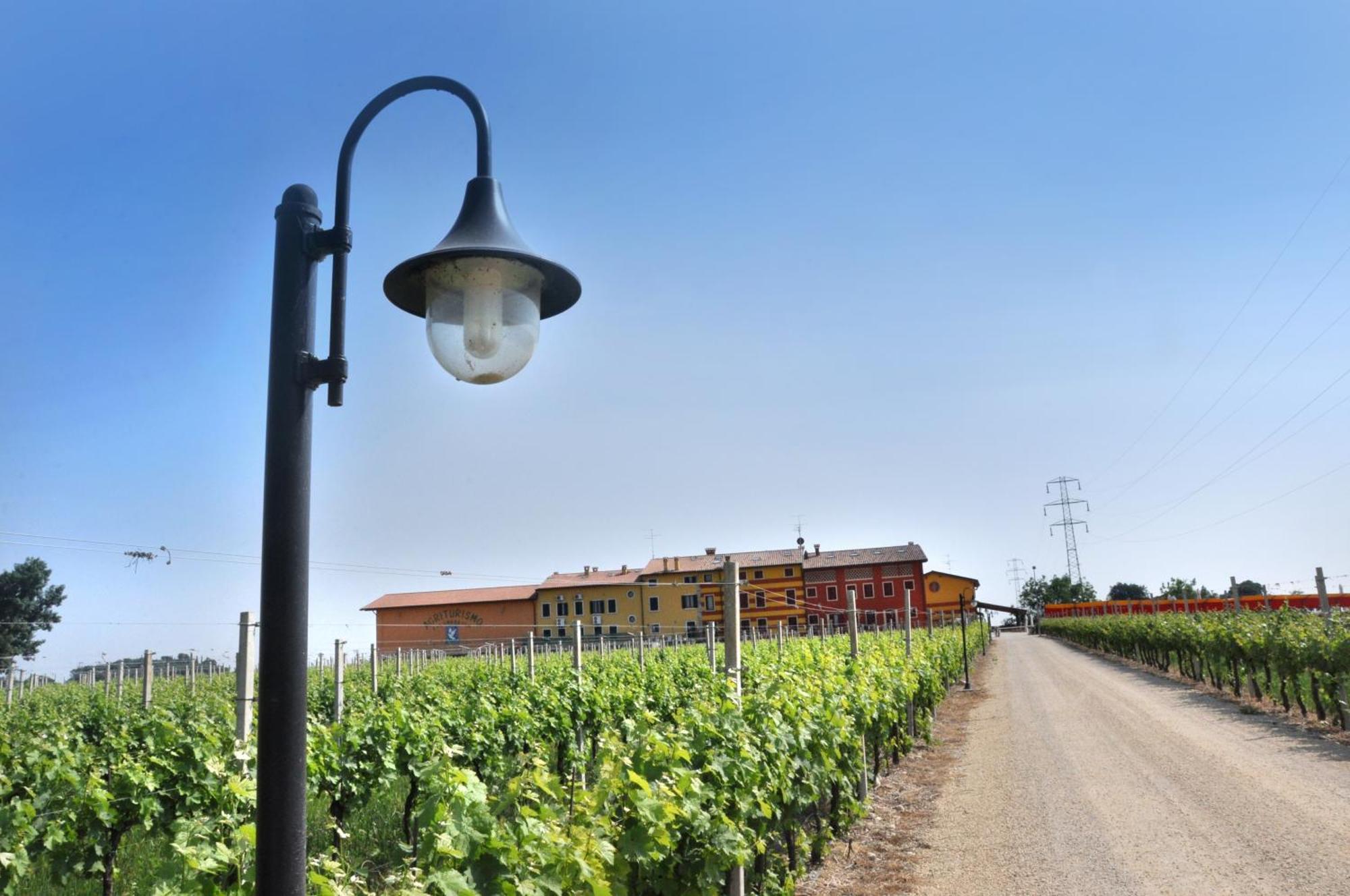 Agriturismo Dei Grippi سونا المظهر الخارجي الصورة